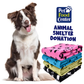 Shelter Dog Beds/Blankets Donations