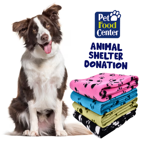 Shelter Dog Beds/Blankets - Let us Pick for You - Paw Street