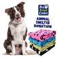 Shelter Dog Beds/Blankets - Let us Pick for You - ARF