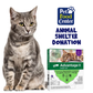 Shelter Cat Flea Prevention Donations
