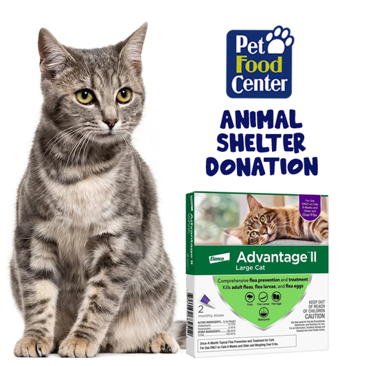 Shelter Cat Flea Prevention - Let us Pick for You - Newlife