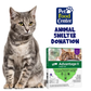 Shelter Cat Flea Prevention - Let us Pick for You - ACA