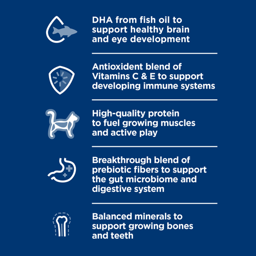 Science Diet Ocean Fish and Brown Rice recipe dry Kitten food