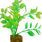 GLOFISH PLANT SM GREEN/YELLOW