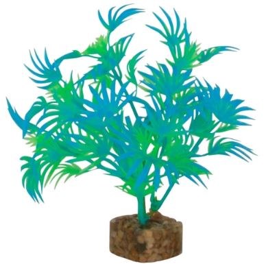 GLOFISH PLANT SM GREEN/BLUE