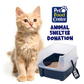 Shelter Cat Litter and Litter Box - Let us Pick for You - Feline Fix