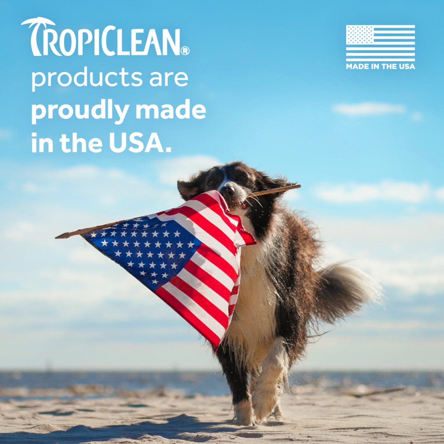 TROPICLEAN ALCOHOL FREE EAR WASH  4 oz