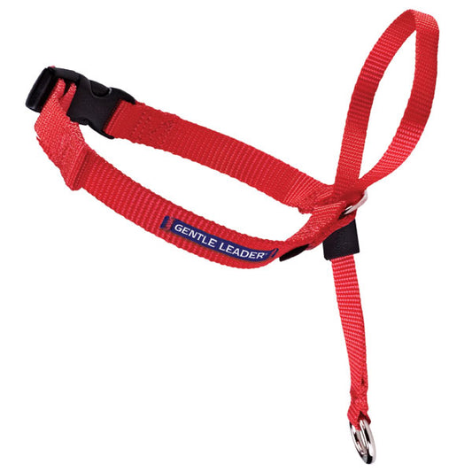 PREMIER GENTLE LEADER HEAD COLLAR RED SMALL