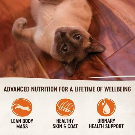 WELLNESS CAT CORE CHICKEN 5.5oz