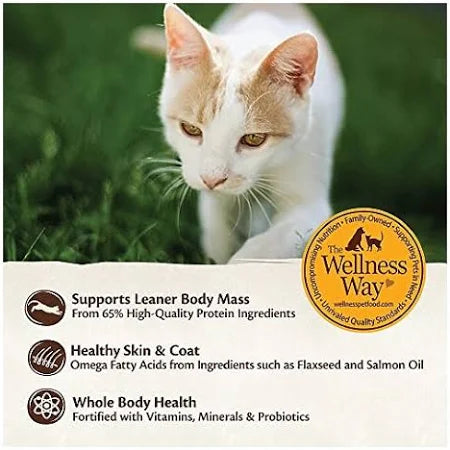 WELLNESS CAT CORE CHICKEN 5.5oz