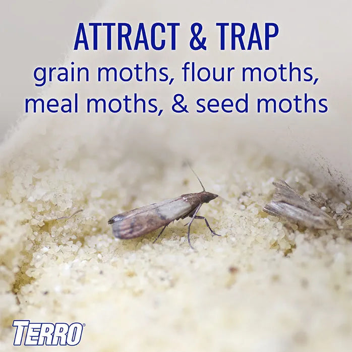 TERRO PANTRY MOTH TRAP 2PK