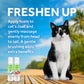 TROPICLEAN AQUA DE COCO DANDER REDUCING WATERLESS SHAMPOO FOR CATS