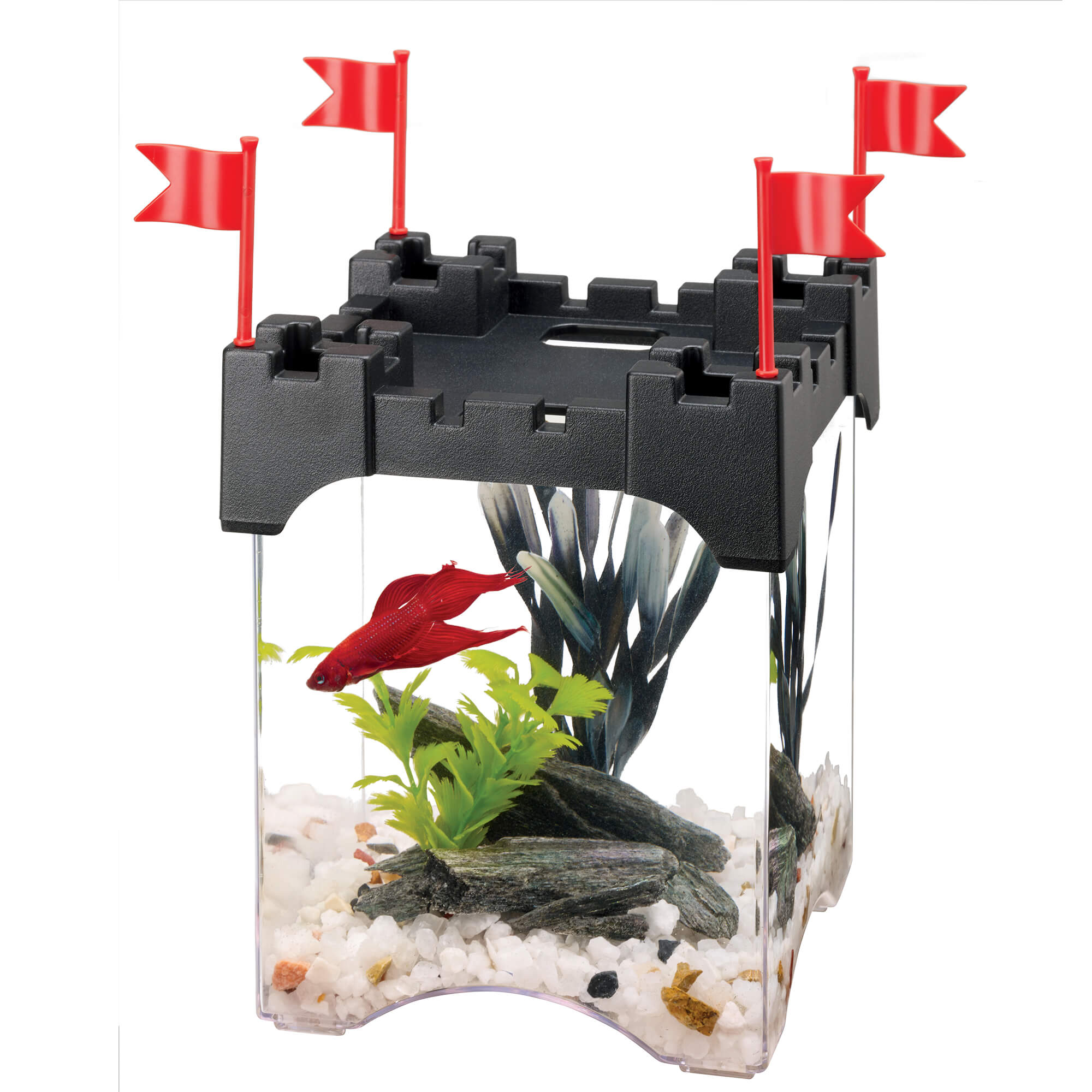 Atze's pet supplies & aquariums sale