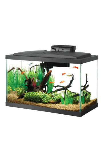 10 gallon outlet saltwater tank kit