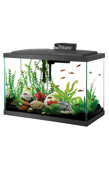 Aqueon 20H Gallon LED Aquarium Kit – Pet Food Center