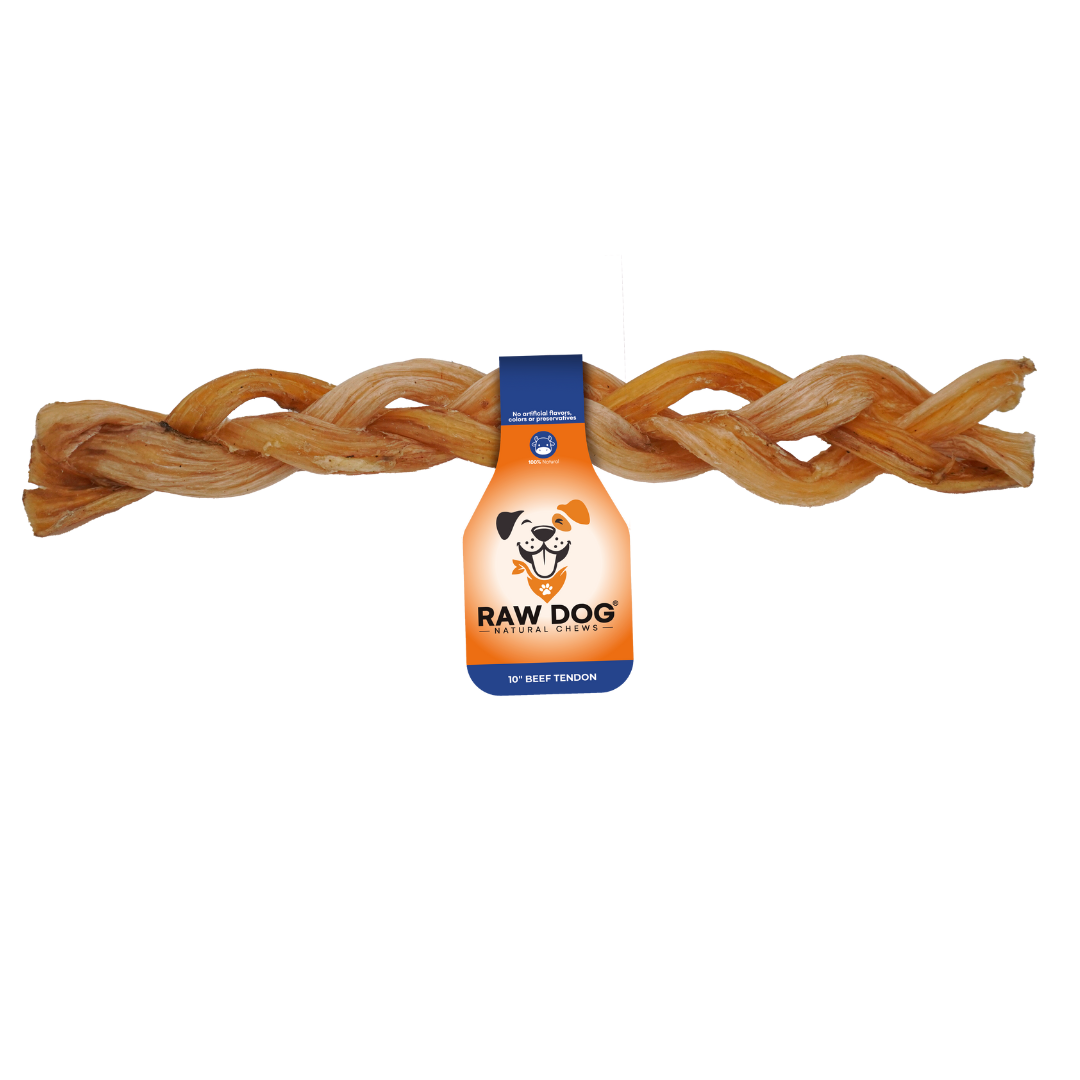 Braided Beef Tendon 10-inch