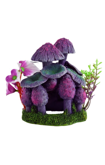 Underwater Treasures Magical Mushrooms