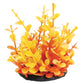 Underwater Treasures Orange Moneywort - 2.5" Item# 20741 Upc# 628742002658