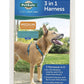 PetSafe 3 in 1 Teal Dog Harness