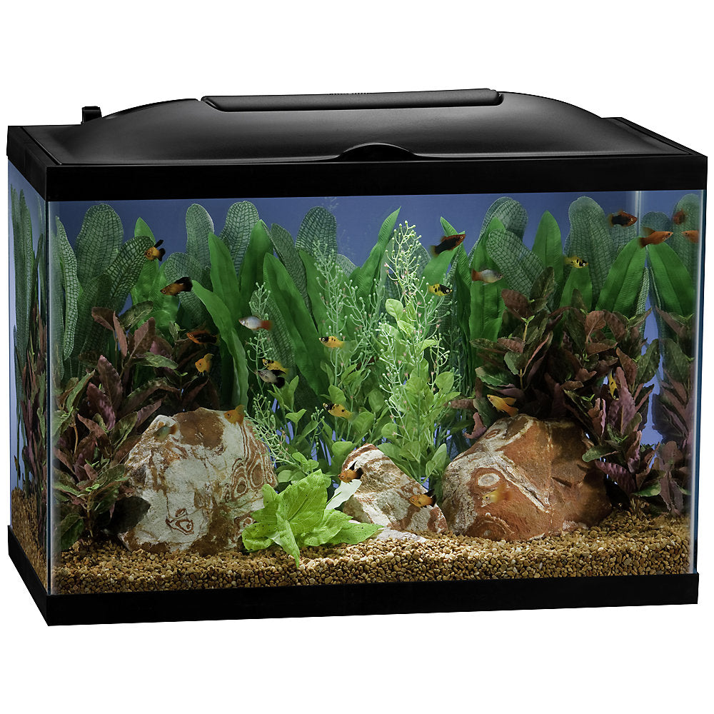 Marineland 20 Gallon BioWheel LED Aquarium Kit