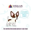 Weruva Classic Dog Meals 'n More Funky Chunky Recipe Plus Wet Dog Food, 3.5-oz cup