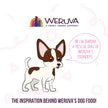 Weruva Classic Dog Meals 'n More Bed & Breakfast Recipe Plus Wet Dog Food, 3.5-oz cup