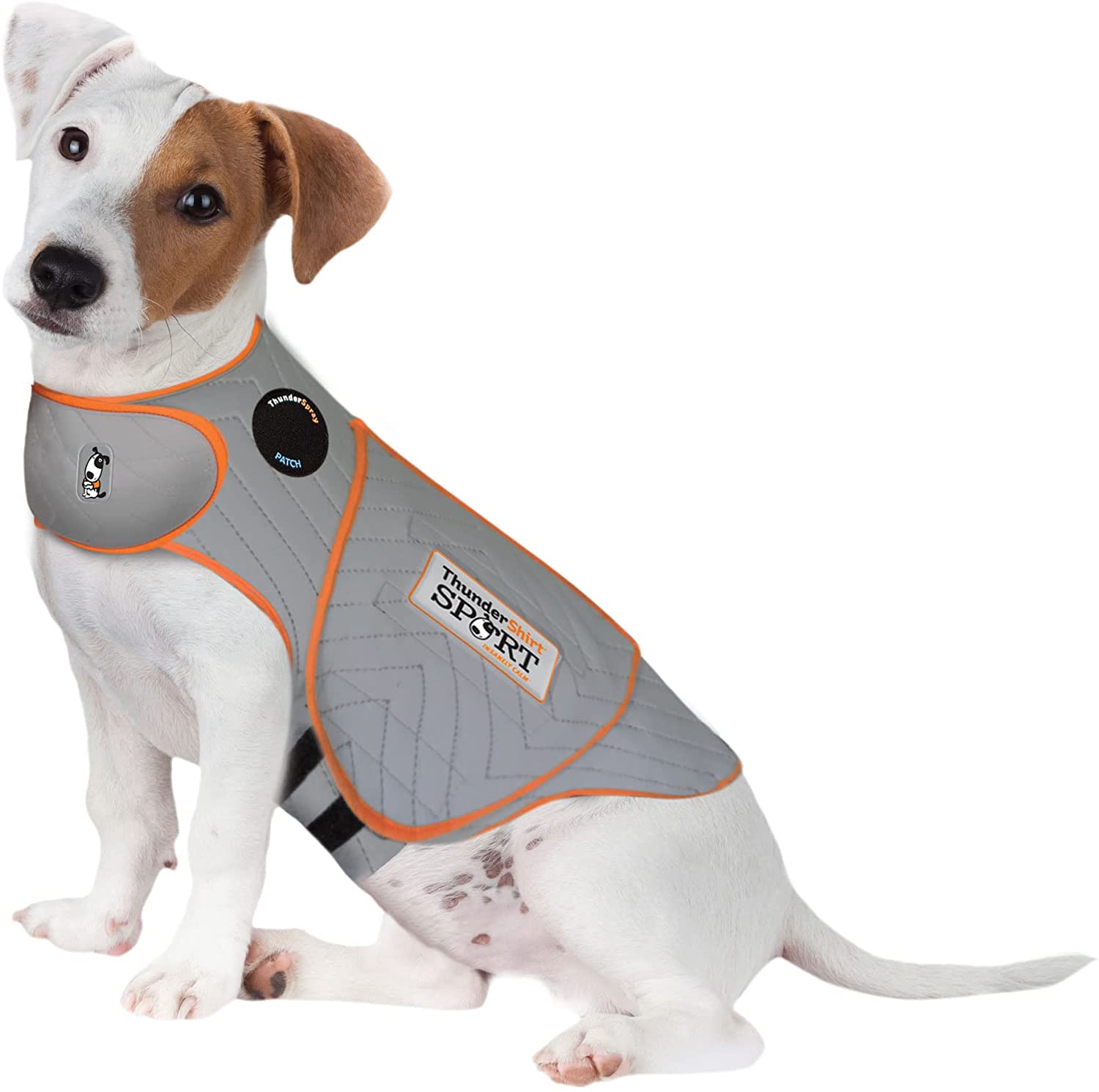 Anxiety harness for outlet dogs