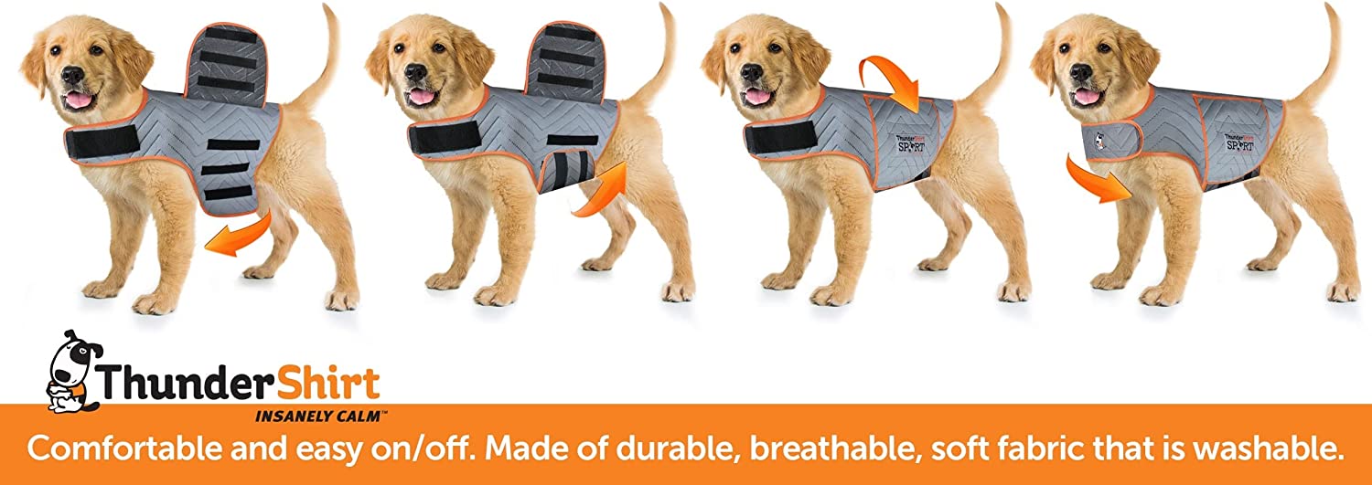 Thundershirt sport outlet for dogs