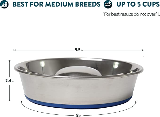 OurPets Durapet Premium Stainless Steel Slow-Feed Dog Bowl