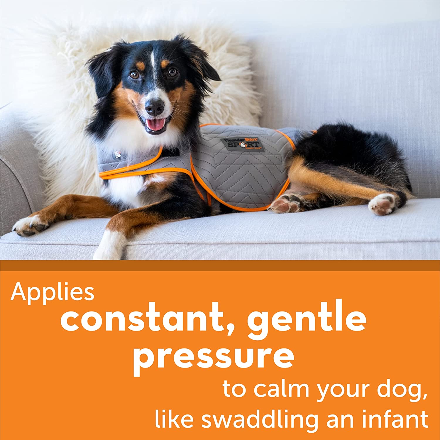 Anti anxiety coat hot sale for dogs