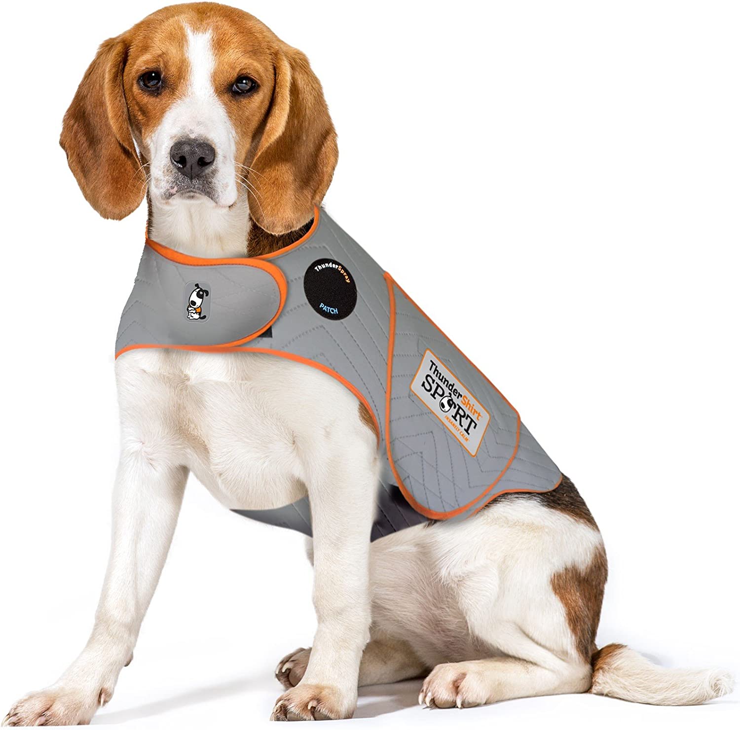 Dog anxiety outlet vest