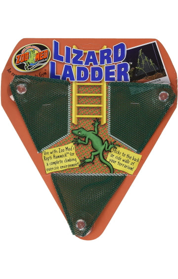 Zoomed Medium Lizard Ladder