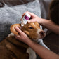 Wondercide Ear Treatment for Dogs and Cats with Natural Essential Oils