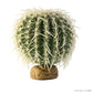 Exo Terra Barrel Cactus Plant Medium