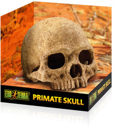 Exo Terra Primate Skull Hide
