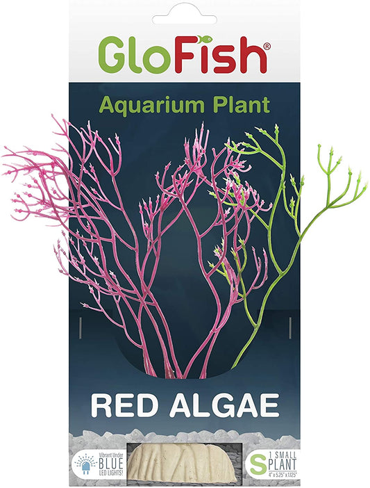 GloFish Red Algae Plant
