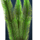 GloFish Sea Grass Plant