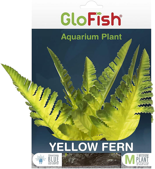GloFish Yellow Fern Plant