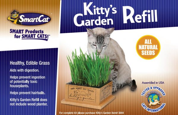Pioneer Pet Kitty's Garden Edible Grass
