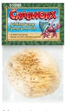 Crabworx Drinking Sponge For Hermit Crabs