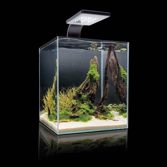 COBALT Microvue 5.3 Gallon Aquarium Nano Kit