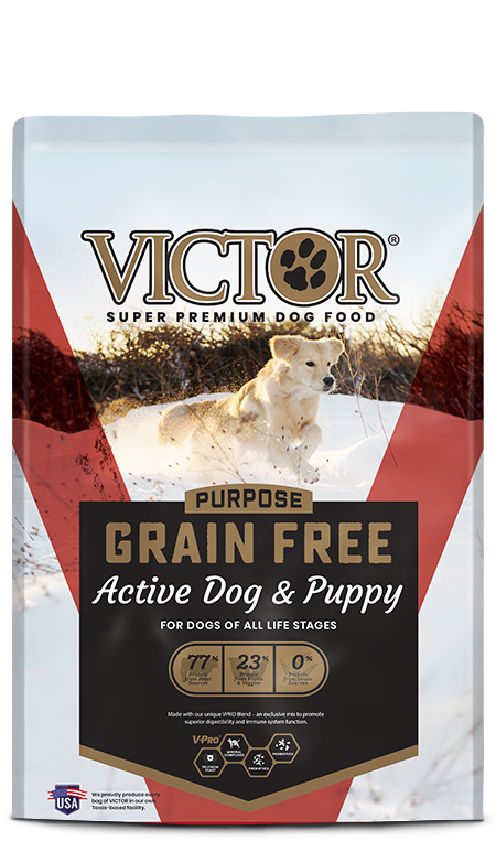 Victor Dog Food Active Dog & Puppy