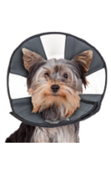 Zen Pet ZenCone E-Collars