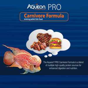 Aqueon PRO Carnivore Formula Pellets 4 oz