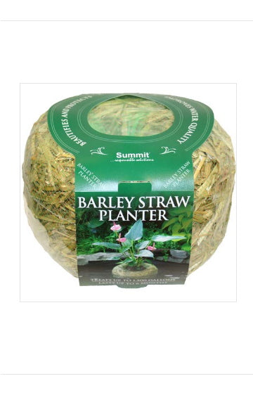 Summit Barley Straw Planter