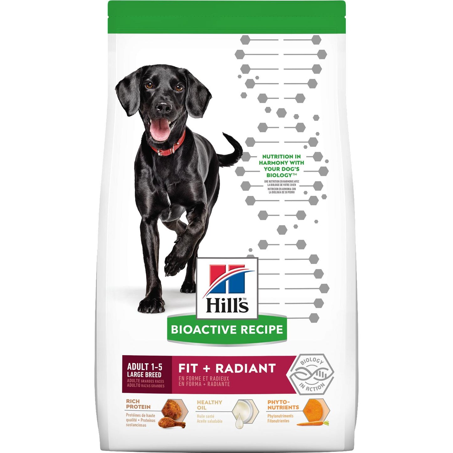 Science Diet Dog Food Bioactive Recipe Adult Large Breed Fit + Radiant 22.5 LB
