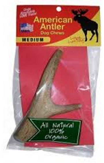 American Antler Dog Chew