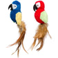 Petilinks Parrot Tweet Cat Toy