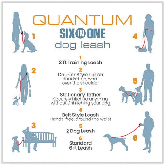 Kurgo Quantum 6 in 1 Reflective Dog Leash