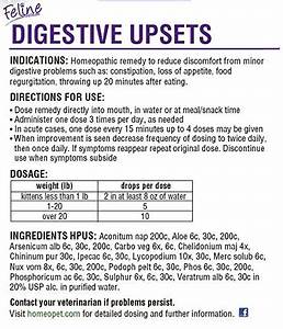 HomeoPet Digestive Upsets Cat Supplement, 450 drops